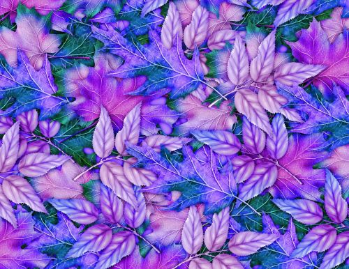 Floral Background