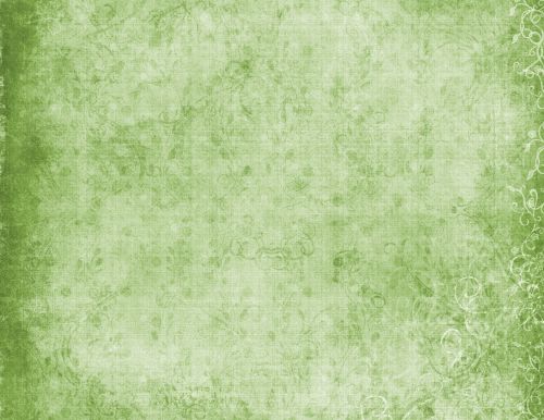 Floral White Green Background