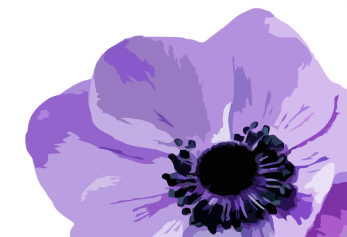 flower purple purple flower