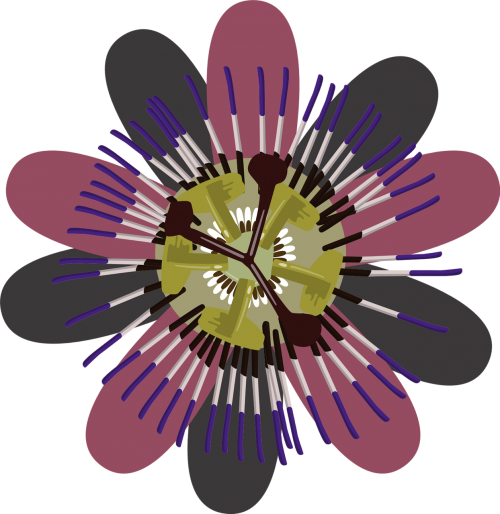 flower purple clip art