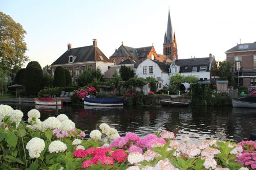 flower river pond