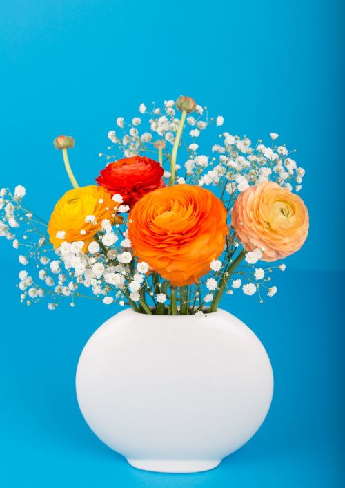 flower ranunculus flower vase