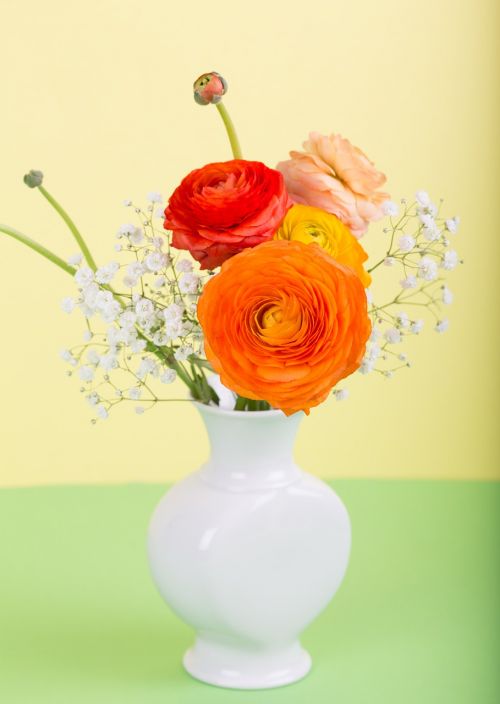 flower ranunculus flower vase