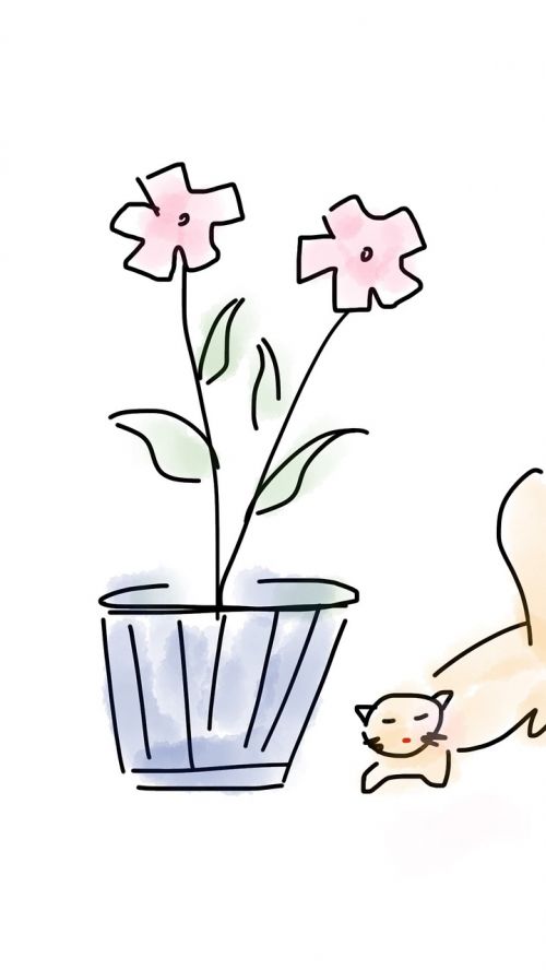 flower cat animal
