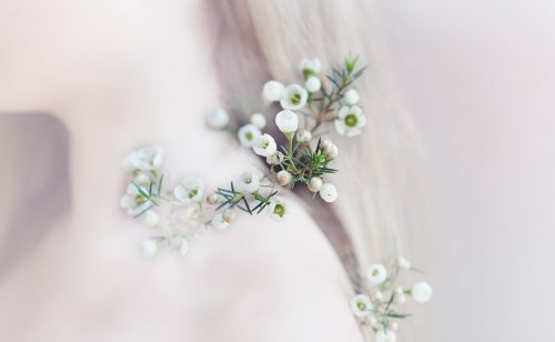 flower flowers white