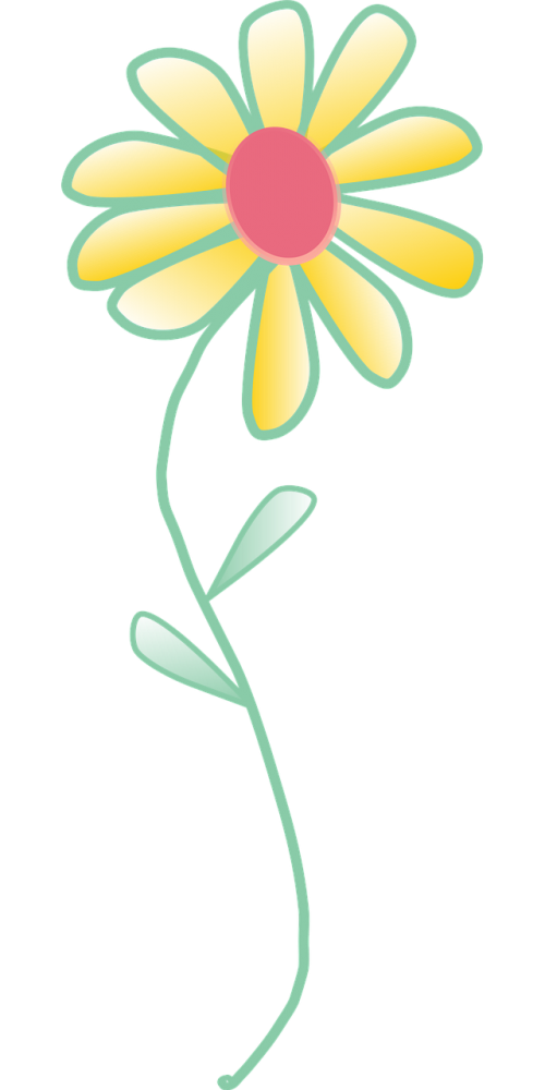 flower yellow blossom