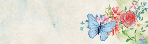 flower butterfly banner