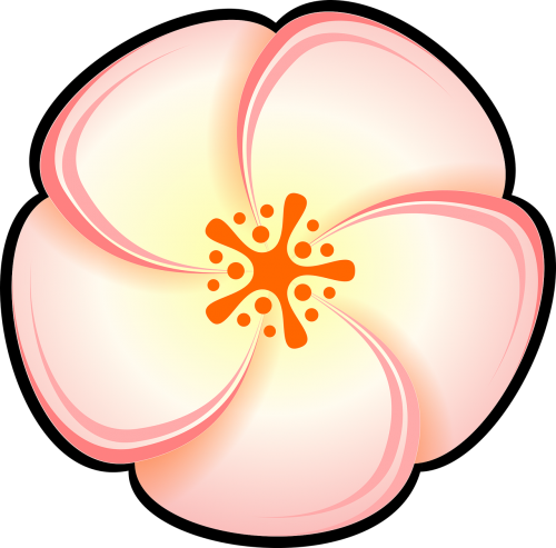 flower blossom pollen