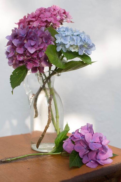 flower vase glass