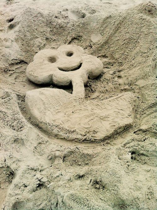 flower smile sand