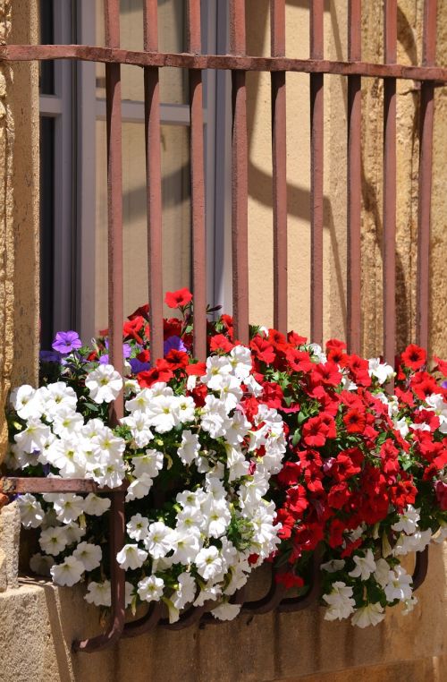 flower windows railing