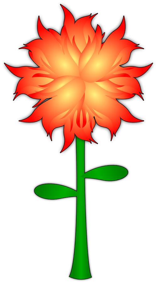 flower plant fiery