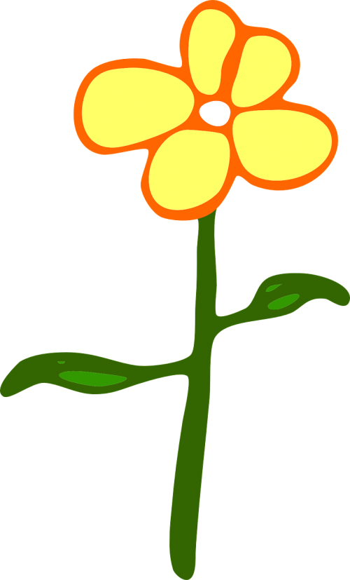 flower plant daisy