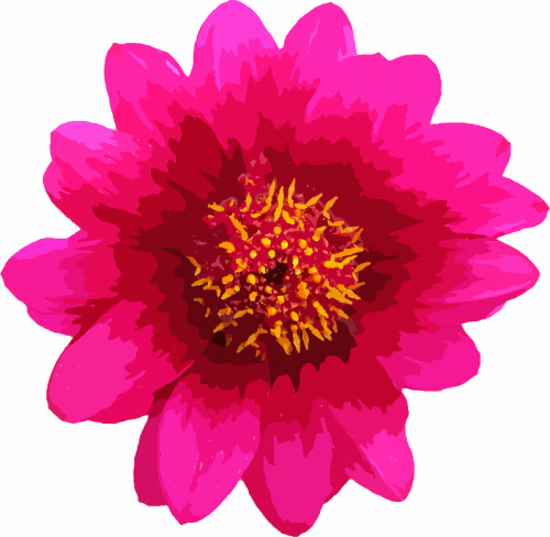 flower macro single