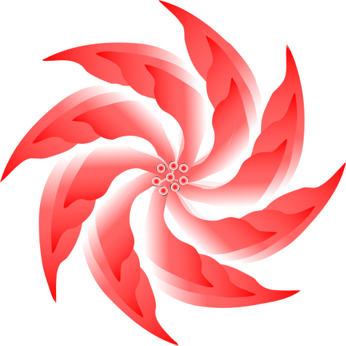 flower red blossom
