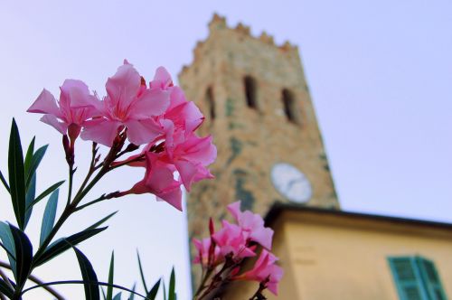 flower torre watch