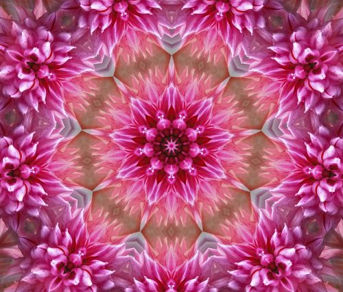 flower mandala art