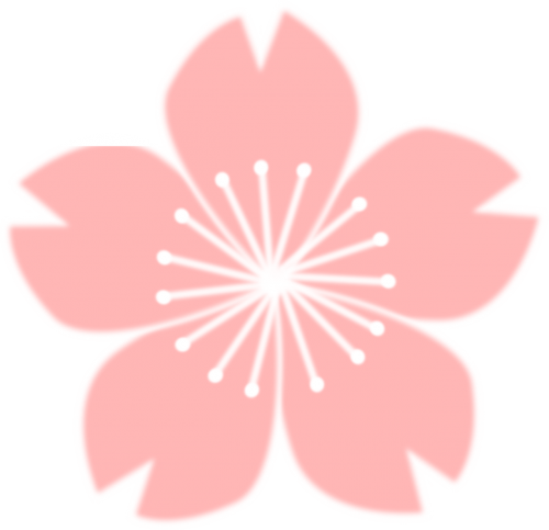 flower japan bloom