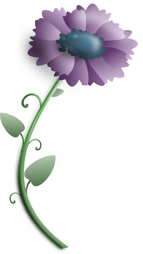 flower plant purple