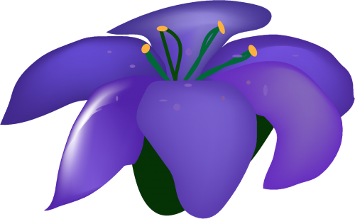 flower violet bloom