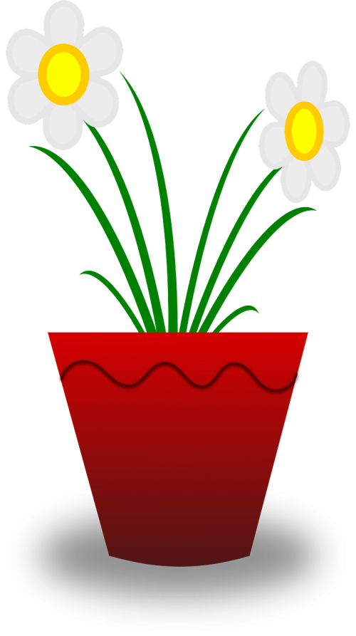 flower plant pot