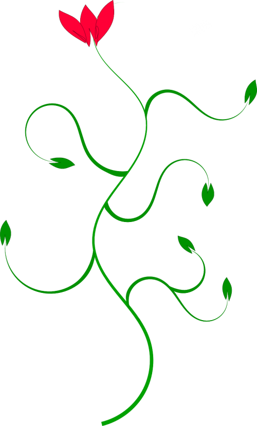 flower curve green