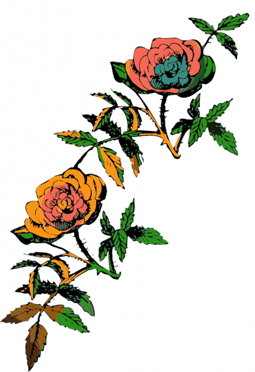 flower rose decoration