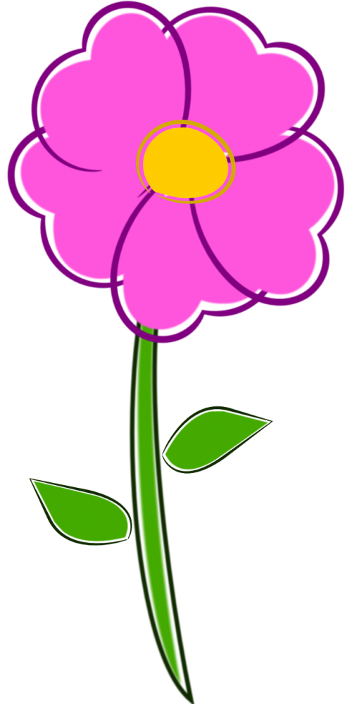 flower pink rosa