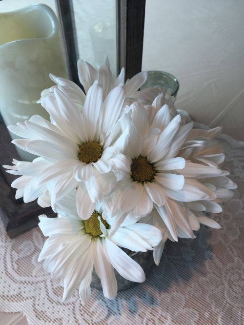 white daisy flower center pieces