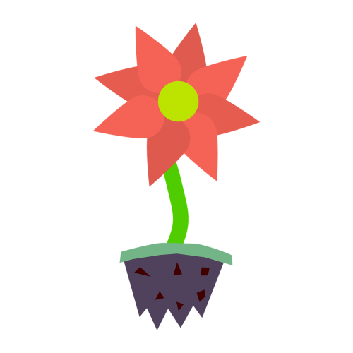 flower plant blossom