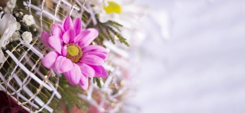 flower bouquet white