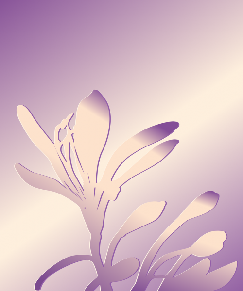 flower flower background silhouette