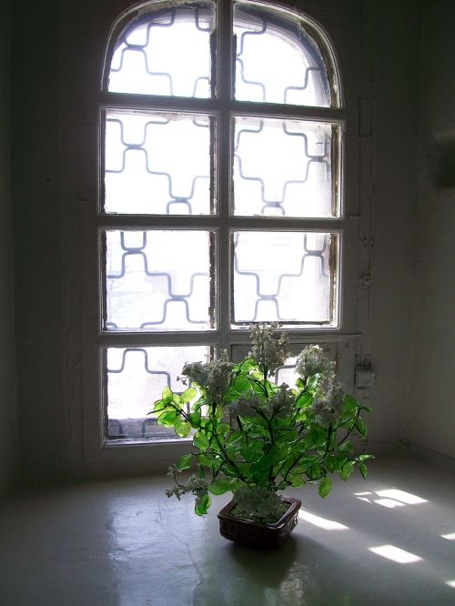 flower sun window