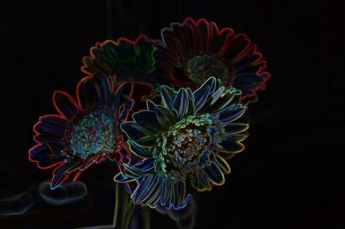 flower light neon