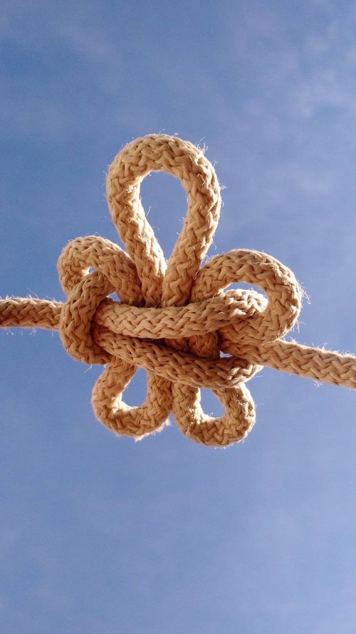 flower lis knot