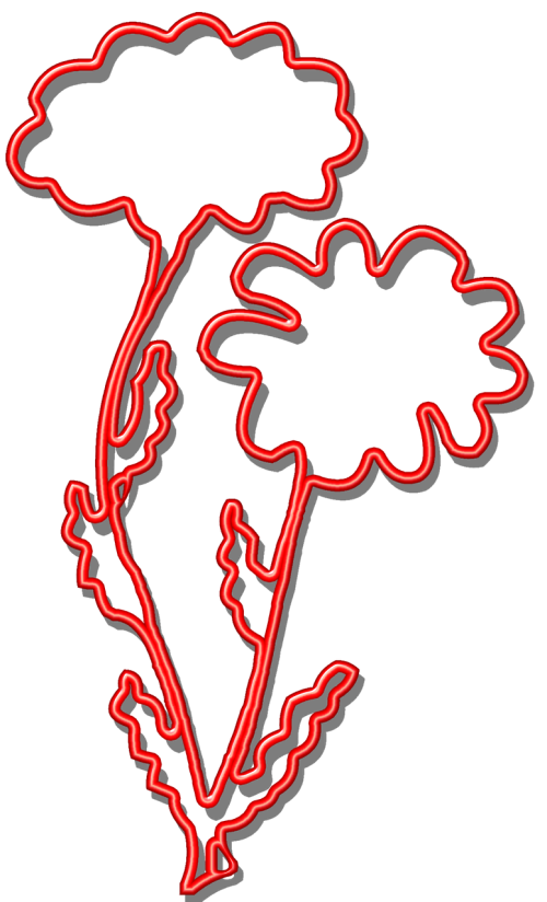 flower red silhouette