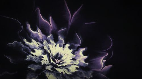 flower lavender fractal