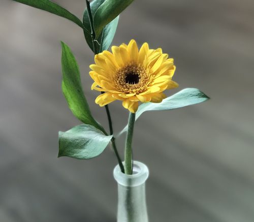 flower vase floral