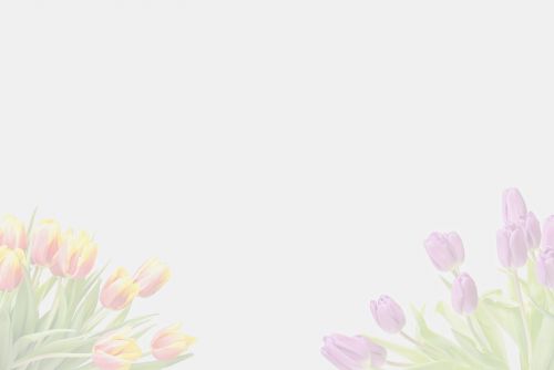 flower background frame
