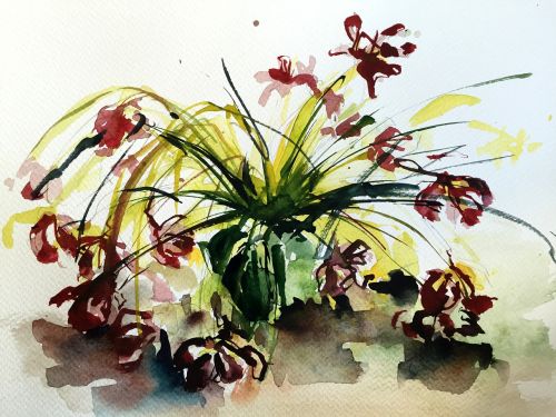 flower watercolor spring