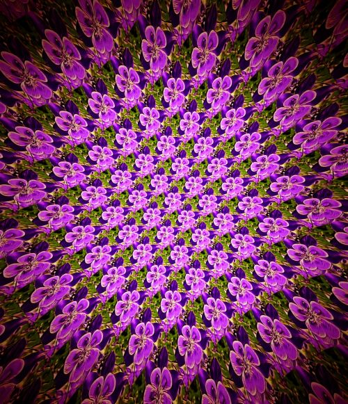 flower pattern purple
