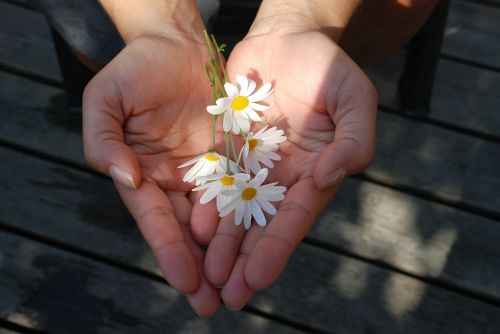 flower hands giving