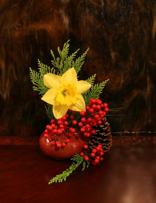 flower daffodil arrangement