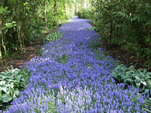 flower garden river