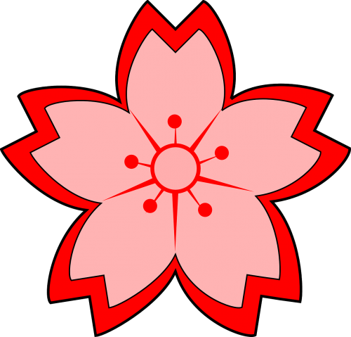 flower blossom red
