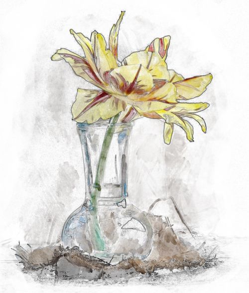 flower vase tulip