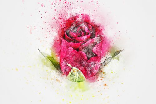flower rose art