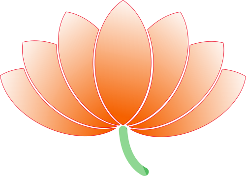 flower lotus nature