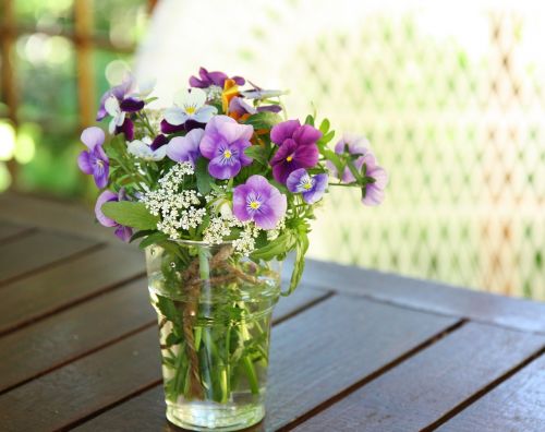 flower pansy vase