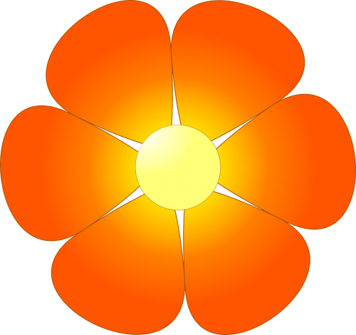 flower abstracts orange